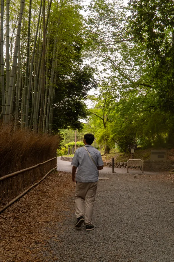 Japan photograph