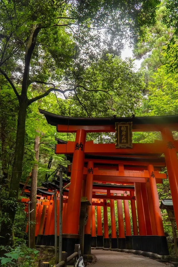 Japan photograph