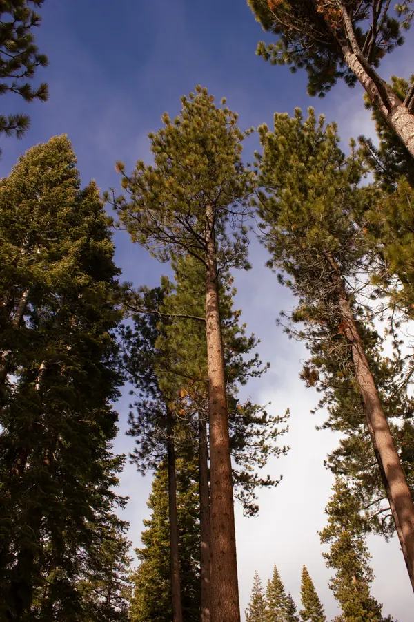 Lake Tahoe photograph